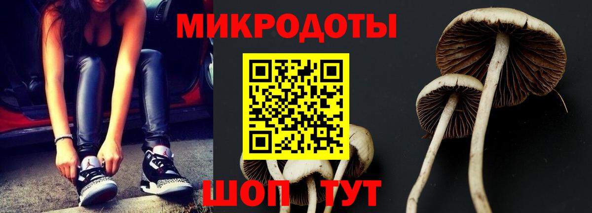 Галлюциногенные грибы GOLDEN TEACHER Свободный