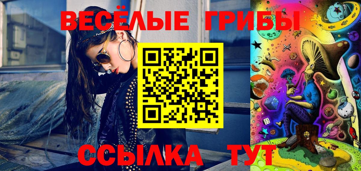 Псилоцибиновые грибы мухоморы  как найти наркотики  Свободный  Вход с VPN 