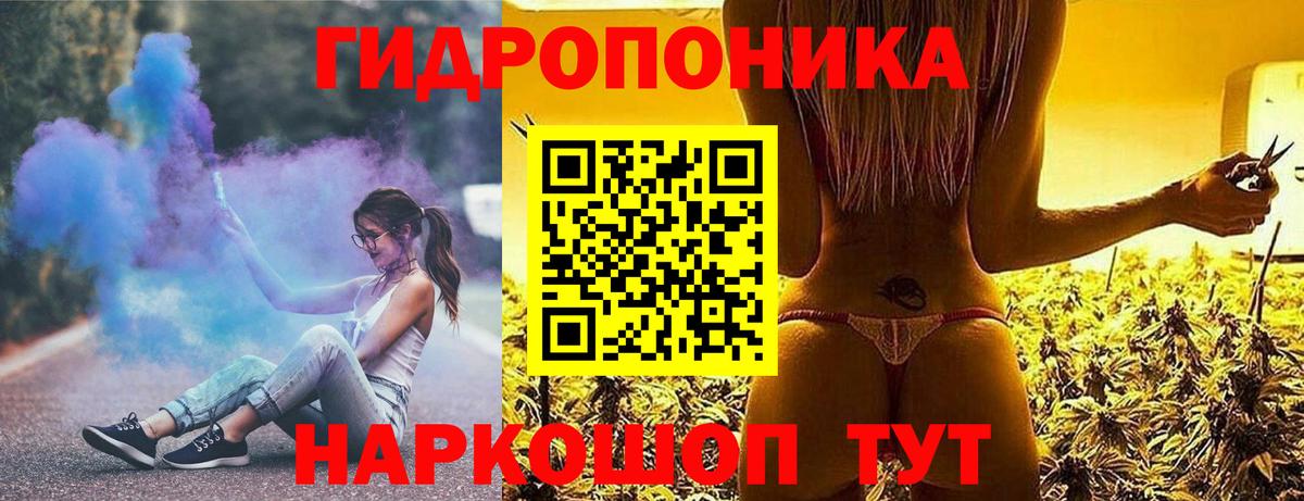 Шишки марихуана план Свободный